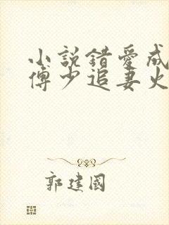 小说错爱成瘾:傅少追妻火葬场txt下载