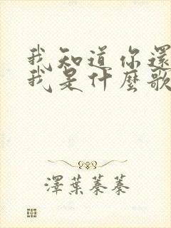 我知道你还爱着我是什么歌