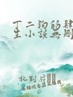 丁二狗的肆意人生小说无删减下载