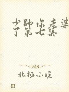 少帅你老婆又跑了第七集