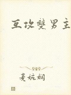 互攻双男主小说