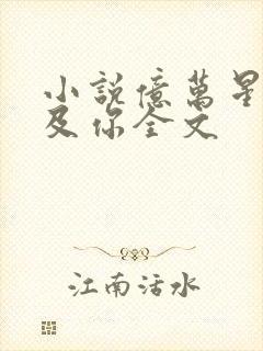 小说亿万星辰不及你全文