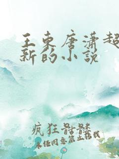 王东唐潇超前更新的小说