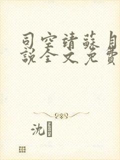 司空靖苏月汐小说全文免费阅读最新章节