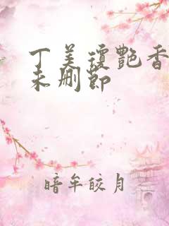 丁美琼艳香迷醉未删节