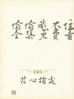 偷偷藏不住漫画全集免费看