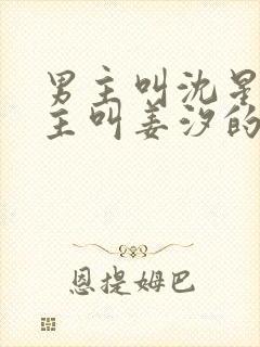 男主叫沈星回女主叫姜汐的小说