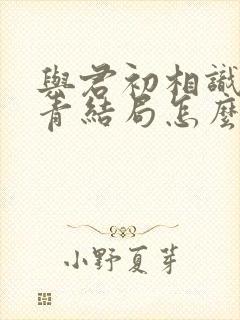与君初相识林昊青结局怎么样