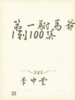 第一驸马爷短剧1到100集