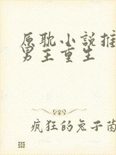 原耽小说推荐双男主重生