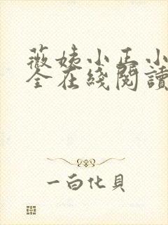 薇姨小正小说大全在线阅读