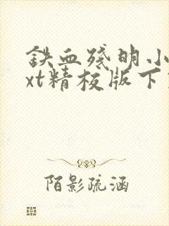 铁血残明小说txt精校版下载