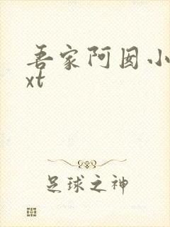 吾家阿囡小说txt