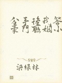 分手后我答应了豪门联姻小说