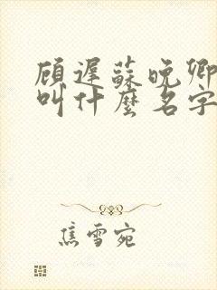 顾迟苏晚卿小说叫什么名字