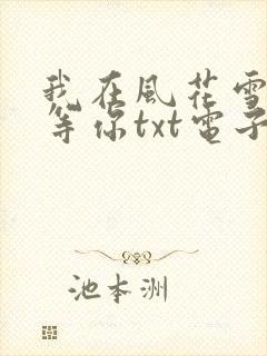 我在风花雪月里等你txt电子书下载