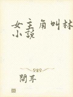 女主角叫林未的小说