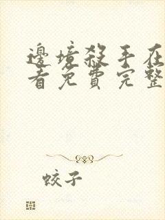 边境杀手在线观看免费完整版高清