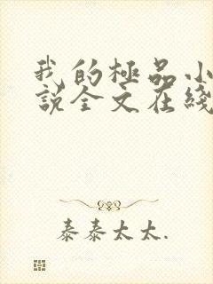 我的极品小姨小说全文在线阅读