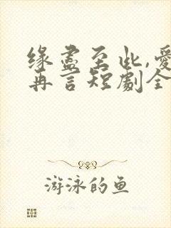 缘尽至此,爱不再言短剧全集免费看