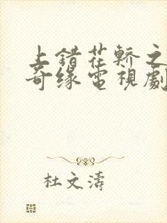 上错花轿之三嫁奇缘电视剧