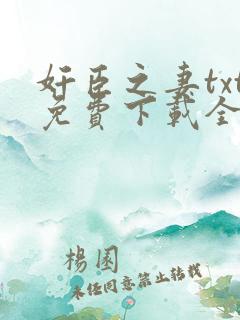 奸臣之妻txt免费下载全本