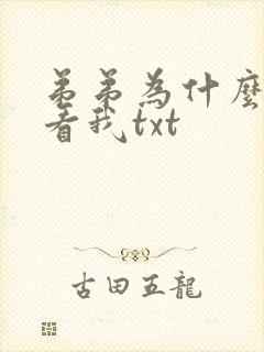 弟弟为什么这么看我txt