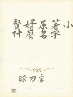 贤婿原著小说叫什么名字