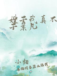 嫂子我真不是傻子叶凡