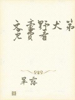 文豪野犬第5季免费看