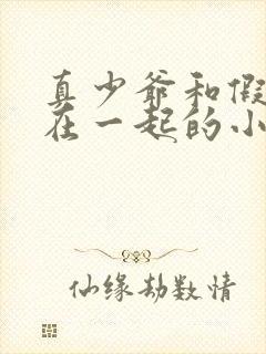 真少爷和假少爷在一起的小说