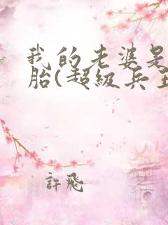 我的老婆是双胞胎(超级兵王在都市)