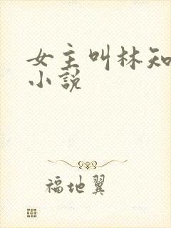女主叫林知意的小说
