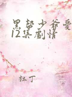 黑帮少爷爱上我12集剧情