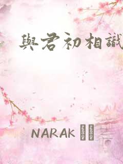 与君初相识结局