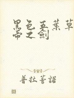 黑色五叶草魔法帝之剑