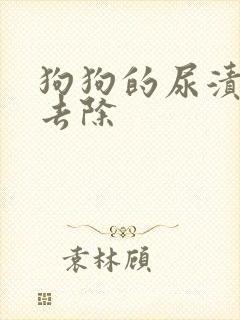 狗狗的尿渍怎么去除