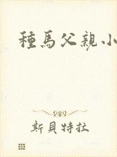 种马父亲小说
