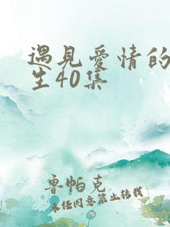 遇见爱情的利先生40集