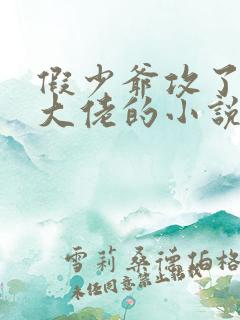 假少爷攻了残废大佬的小说