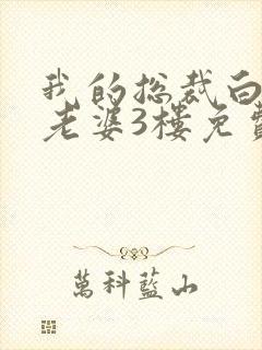 我的总裁白富美老婆3楼免费全文阅读一