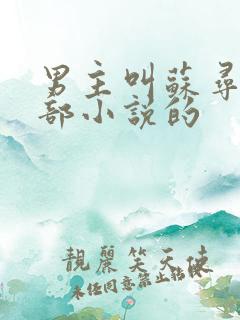 男主叫苏寻是哪部小说的