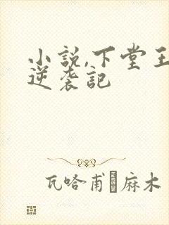 小说,下堂王妃逆袭记