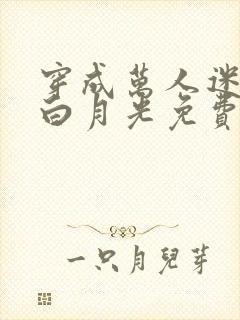 穿成万人迷受的白月光免费阅读