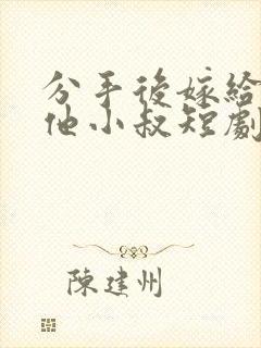 分手后嫁给渣男他小叔短剧第十二集