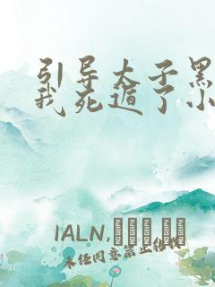 引导太子黑化后我死遁了小说