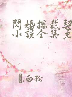 闪婚总裁契约妻小说全集免费阅读