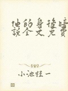 他的身后暗恋小说全文免费阅读