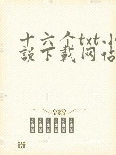 十六个txt小说下载网站