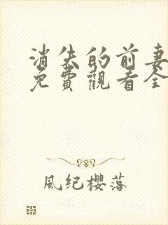 消失的前妻短剧免费观看全集